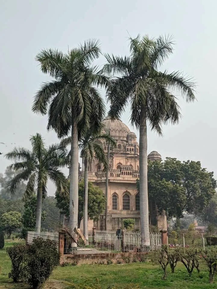 Mushir Zadi India