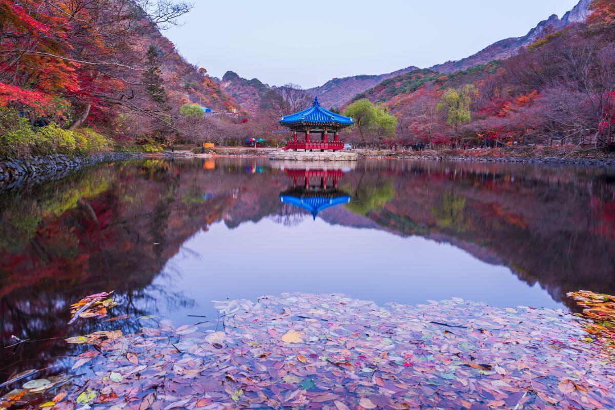 Autumn Naejangsan National Park