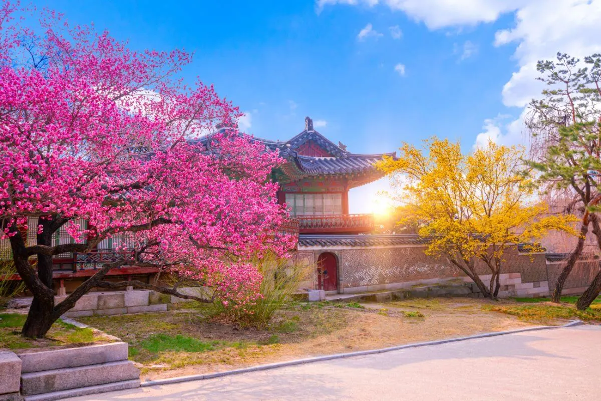 Changdeokgung Palace in autumn