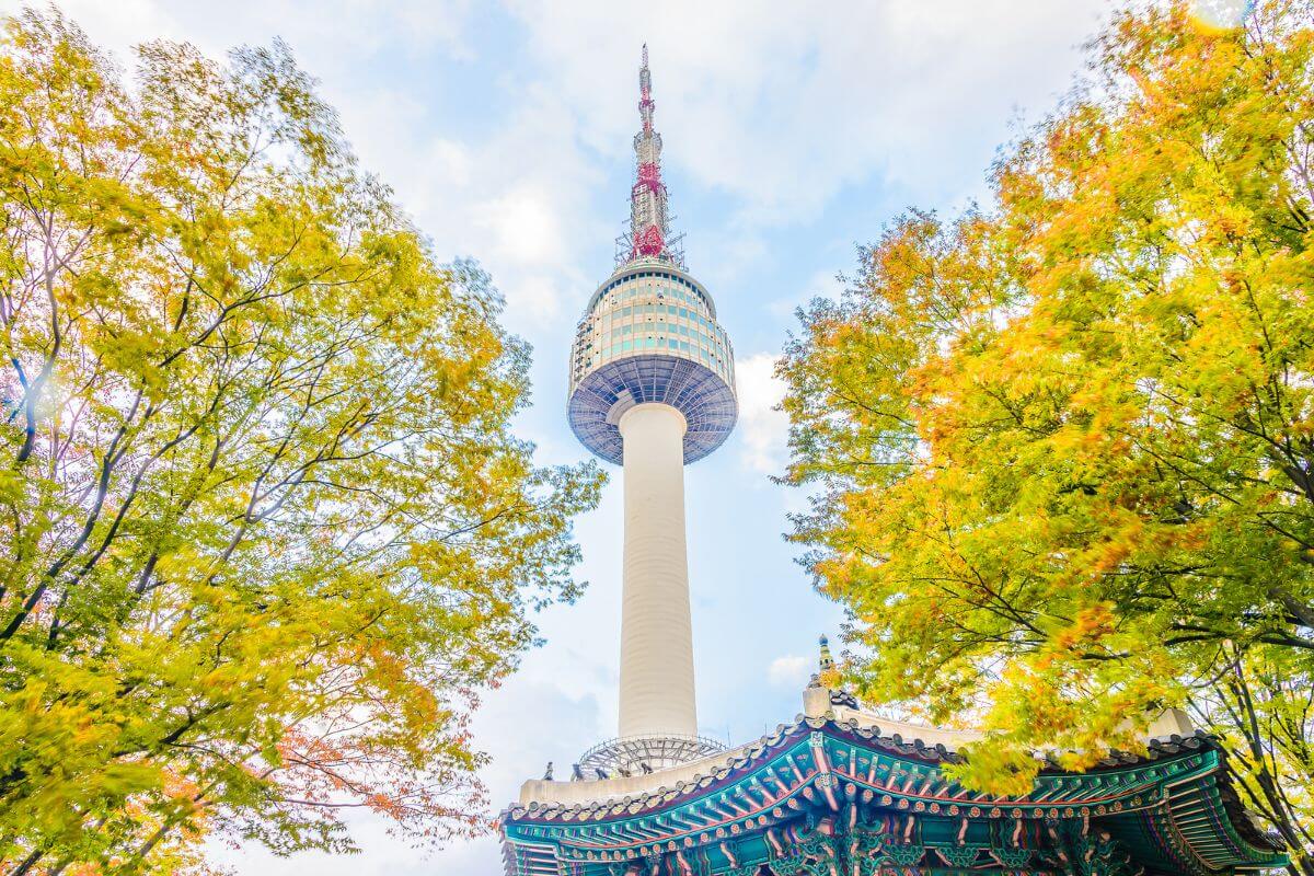 N Seoul Tower in autumn