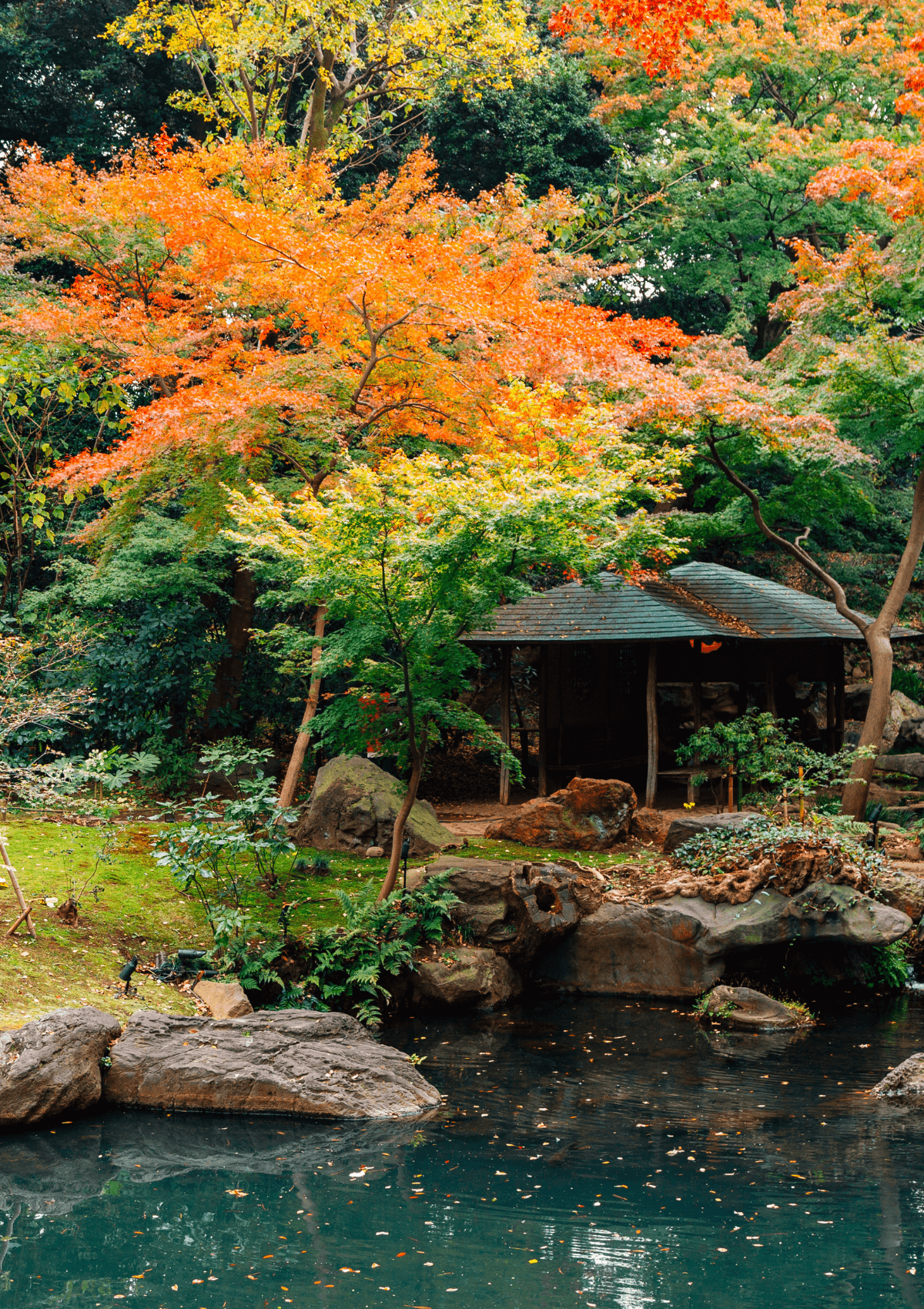 Rikugien Gardens in Bunkyo Ward, Tokyo Japan