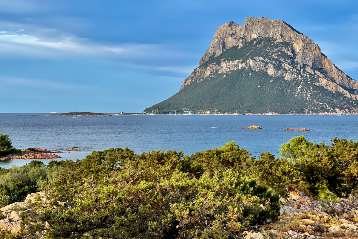 Visitar a Ilha Tavolara é uma das melhores coisas para fazer na Sardenha