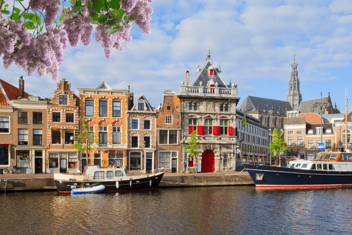best things to do in Haarlem