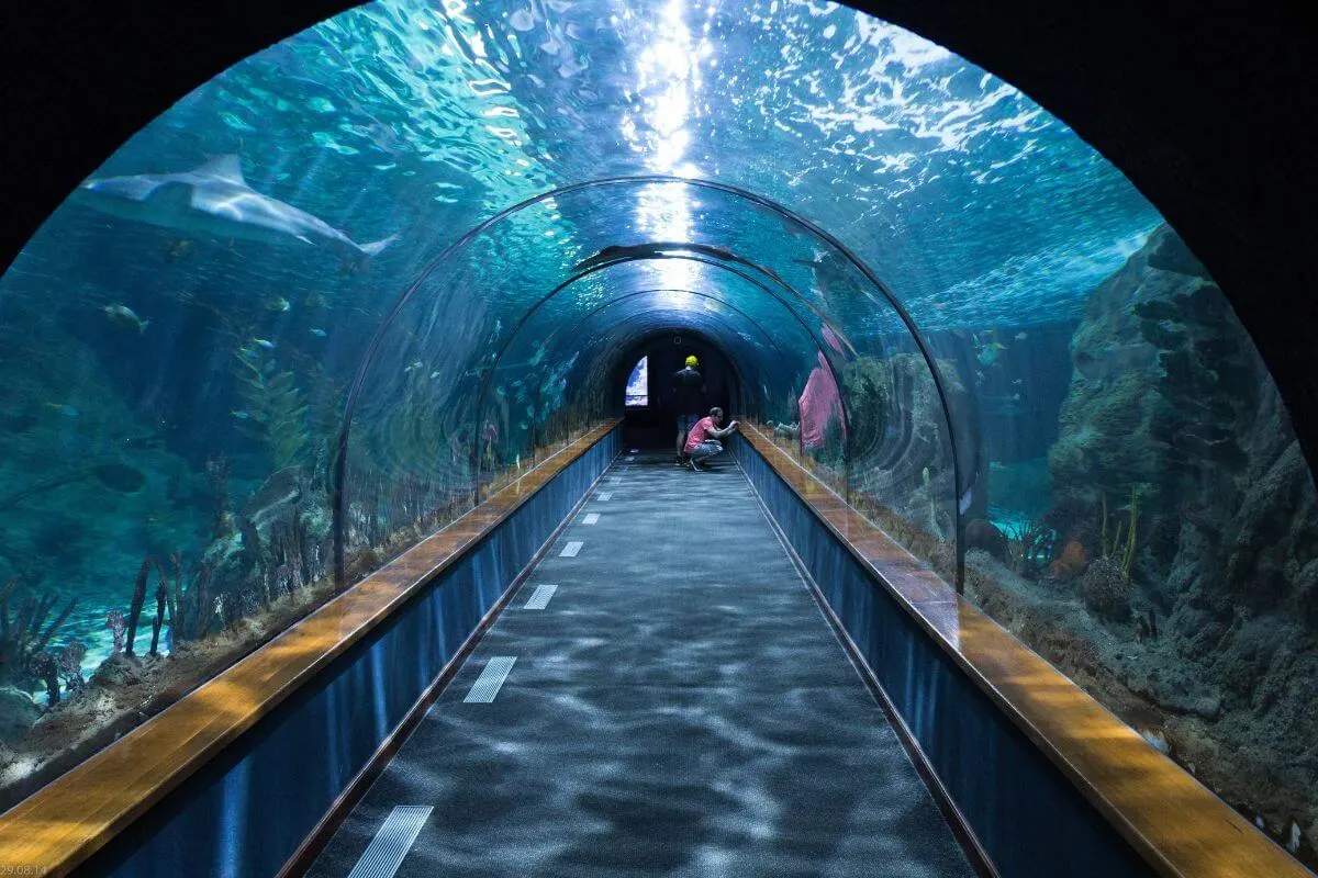 biggest aquariums in Europe