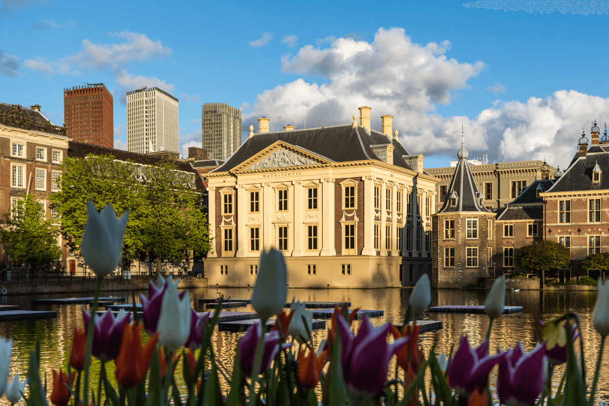 The Hague is one of the top cities in the Netherlands