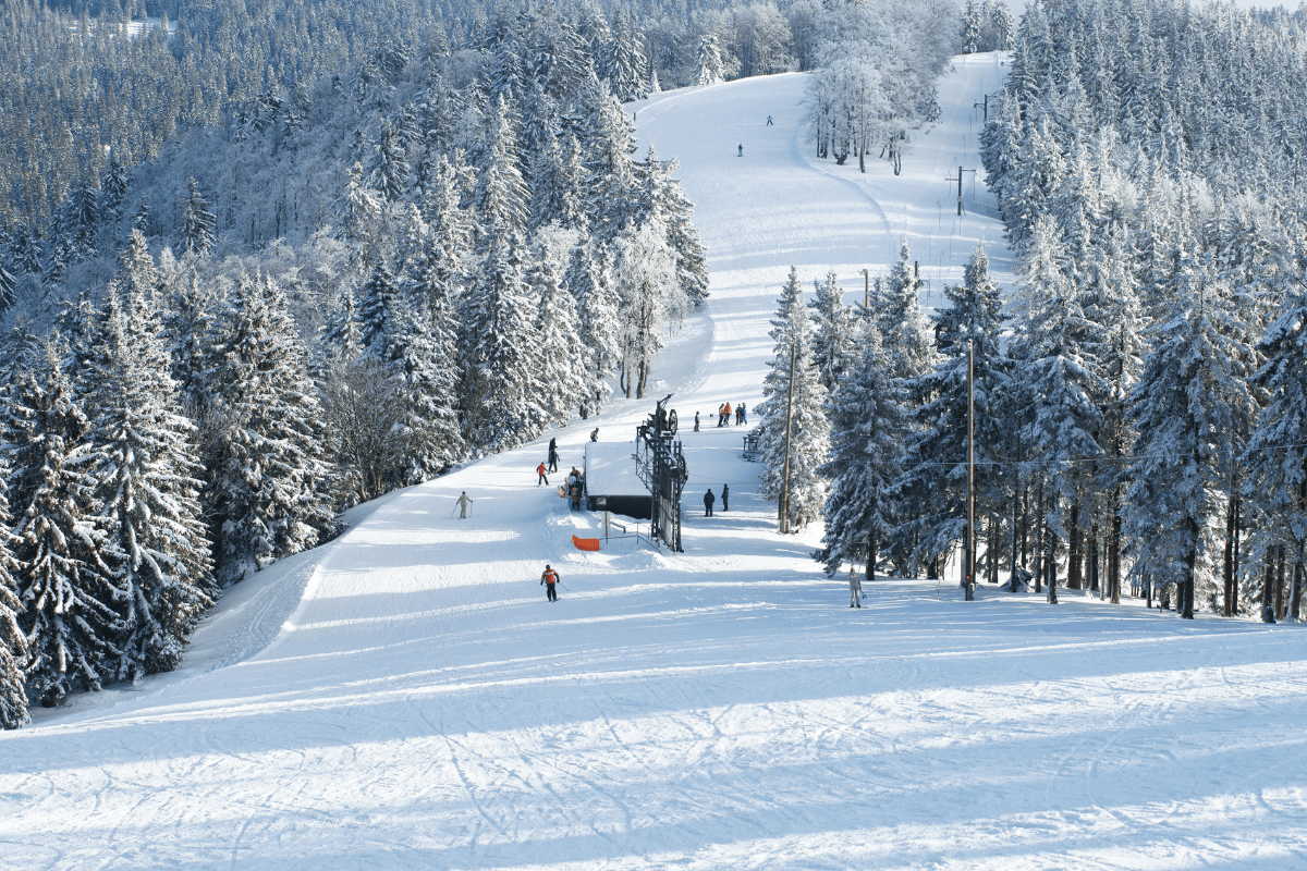 Alpensia Ski Resort Best Places to Visit in Winter in Korea