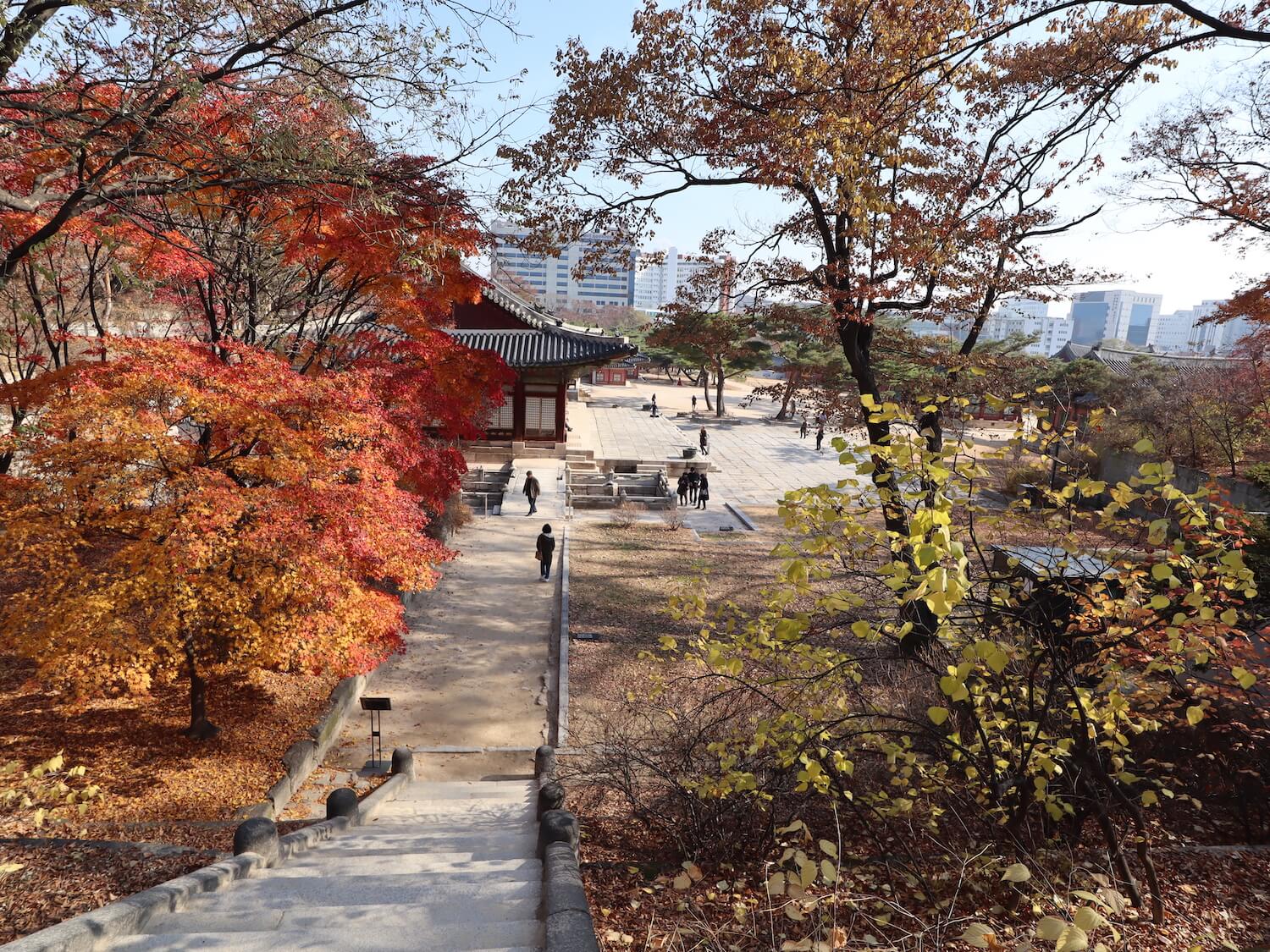 korea in winter