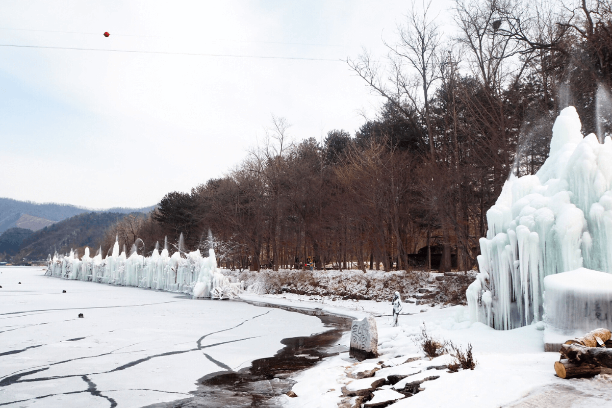 Nami Island Best Places to Visit in Winter in Korea