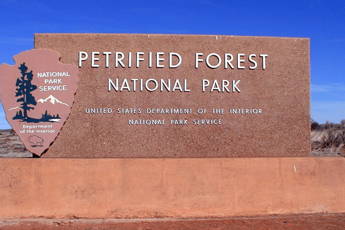 what to see on a road trip from Los Angeles to the Grand Canyon - Petrified Forest National Park