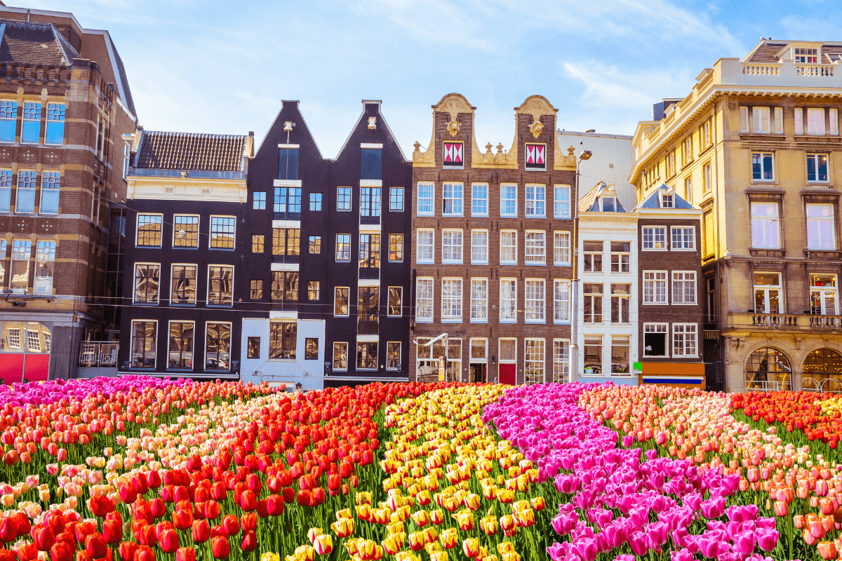 best places to stay in Amsterdam