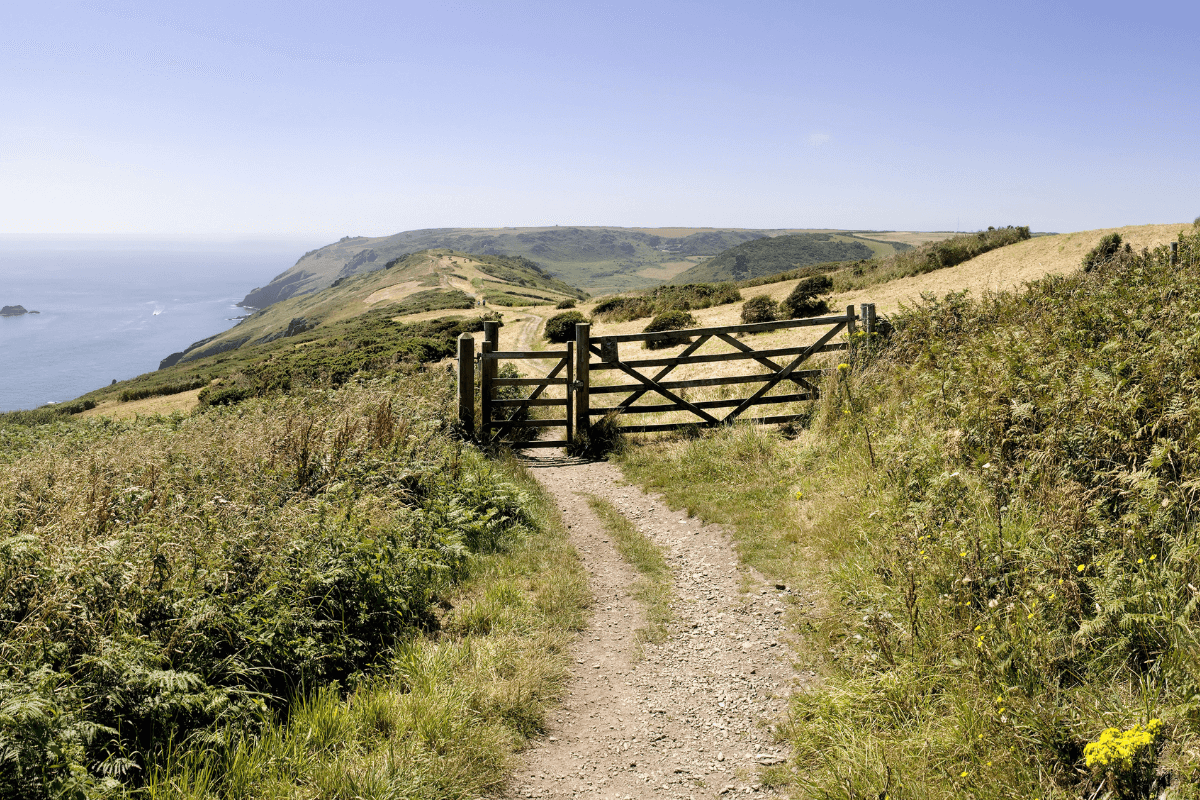 Devon countryside and seaviews