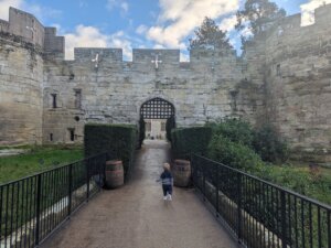 Reggie walking on a walkway through a stone wall at Warwick Castle