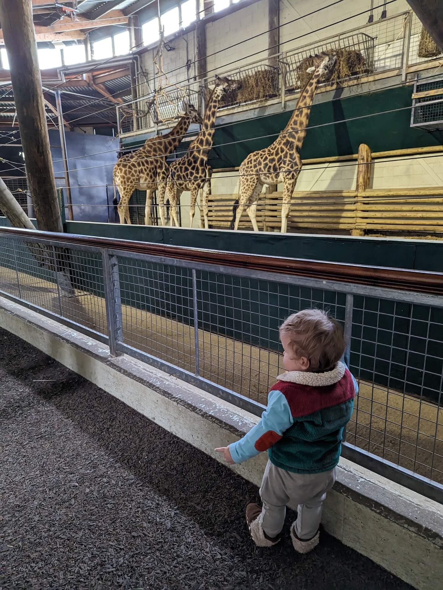 best zoos in england