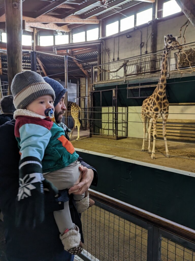 Reggie at Marwell Zoo