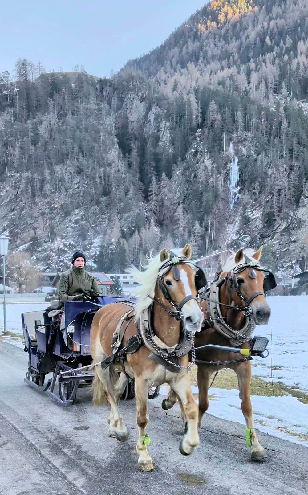 Horse and carriage in Otztal
