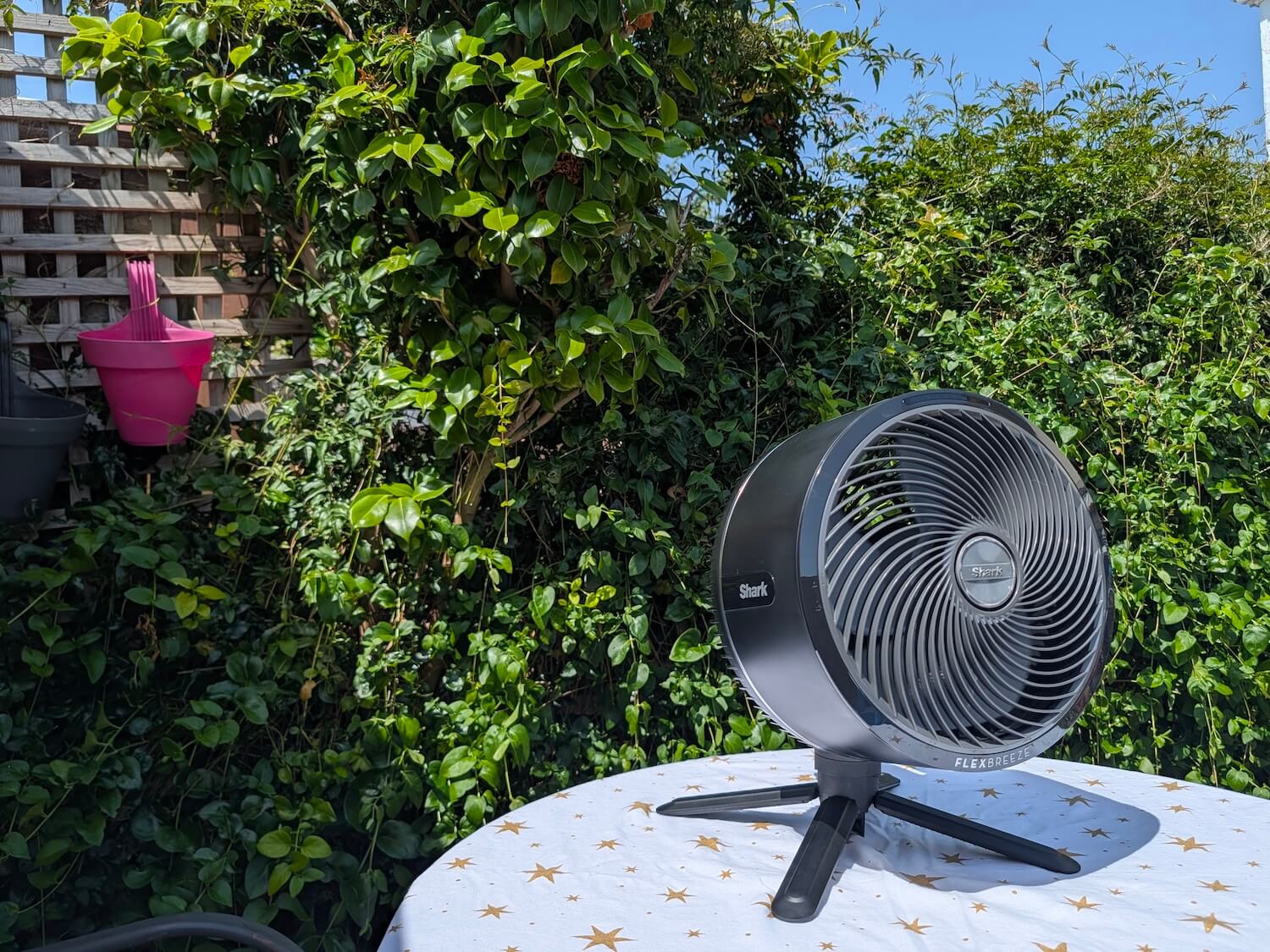 Just the fan on the table with a hedge in the background